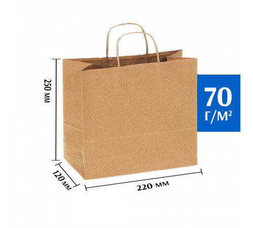 Крафт пакет с кручеными ручками  220х120х250 (50 шт)