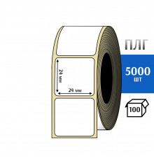 Термотрансферная этикетка ПЛГ 24х24 (5000) COAT