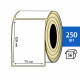 Термотрансферная этикетка ПЛГ 75х120 (250) COAT